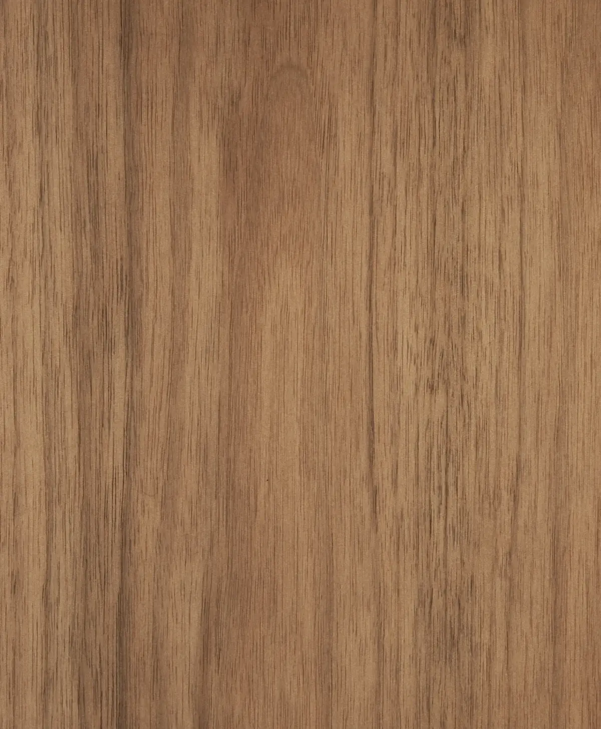 Photo of material Walnut